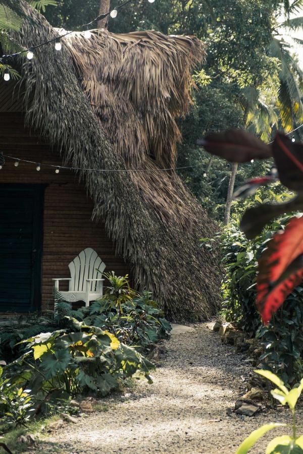 Hotel La Colmena Rd à Samana Extérieur photo
