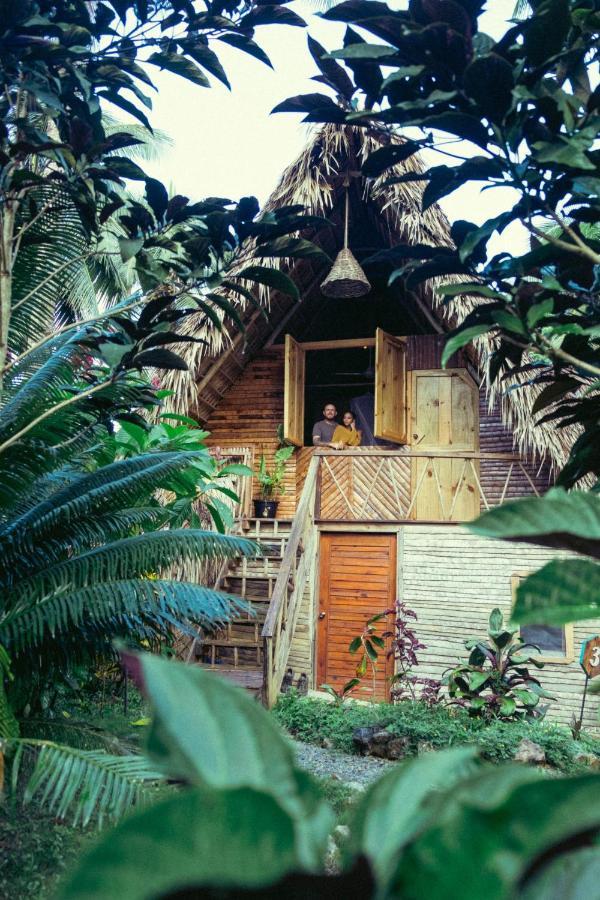 Hotel La Colmena Rd à Samana Extérieur photo