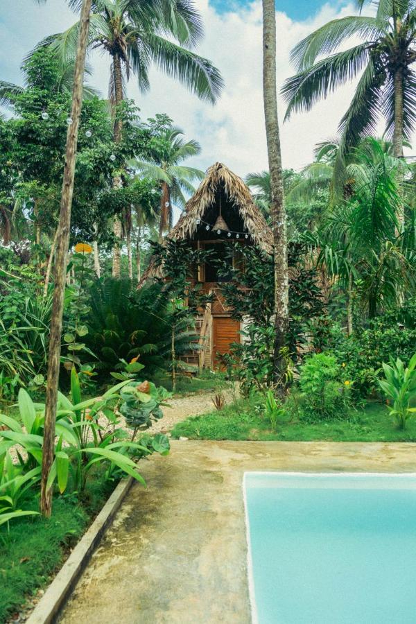 Hotel La Colmena Rd à Samana Extérieur photo